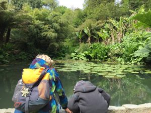 Die Jungs am Teich, Jungle Lost Gardens of Heligan
