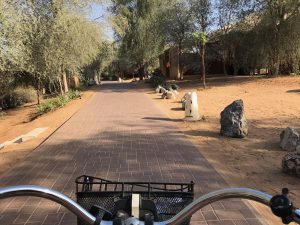 Bike Tour, al Wadi Desert, a Ritz Carlton Partner Hotel